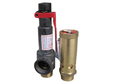 Safety Valve